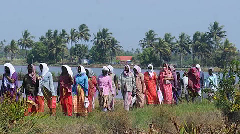 MGNREGA workers' image used for representative purpose.