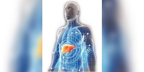 For representational purpose