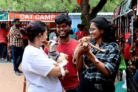 The adoption coordinators conduct pet shows or events in cities and showcase the rescued dogs to  people planning to become pet parents. 