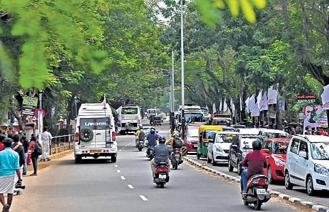 The Corporation office road is dotted with trees on both side, giving it a majestic look  | (pics) B P DEEPU