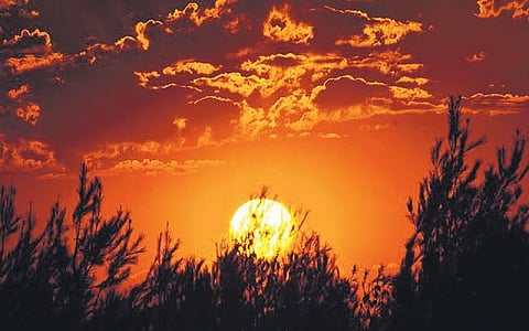 Image used for representational purposes only