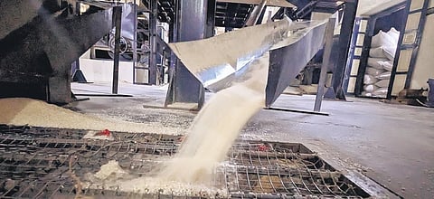 Fifty per cent of the rice produced in Arani was exported to various states in south India and countries like Singapore, Malaysia and South Africa | S Dinesh