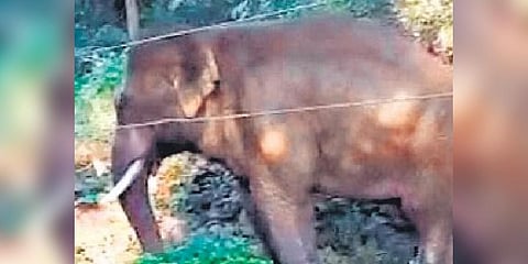 For representational purpose