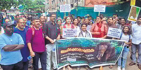 Animal lovers were seeking Arikomban’s return to its original habitat