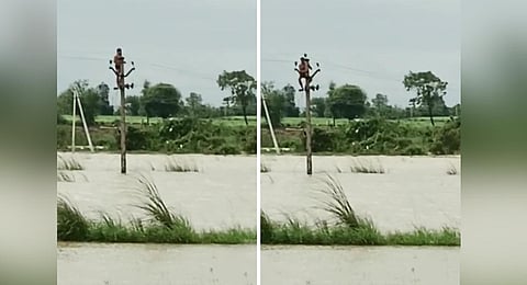 Srikanth's brave act.