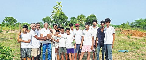 Pushparaj, founder of Alamaram Amaipu, intends to create Miyawaki forests in village panchayats in Virudhunagar | Express
