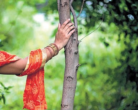 Picture credits: P Ravikumar