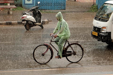A cyclist braving the sudden rain in Bhubaneswar. (Photo | Shamim Qureshy, EPS)