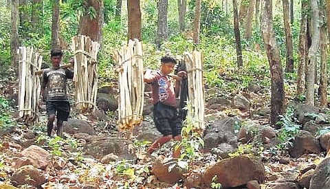 File photo of forest dwellers in Sundargarh district
