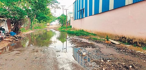 Stagnated water near a factory at Jagatpur Industrial Estate | Express