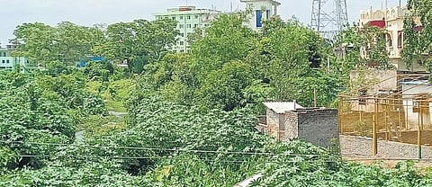The illegal encroachments on Jarali river embankment | Express