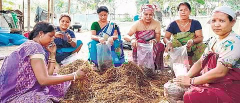 Mushroom cultivation in Kokrajhar district in Assam