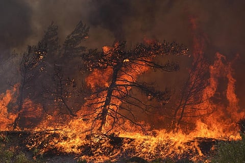 Flames burn a forest in Vati village, on the Aegean Sea island of Rhodes, southeastern Greece. (Photo | AP)