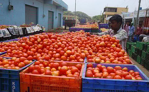 Image used for representational purposes only. (Photo | EPS)