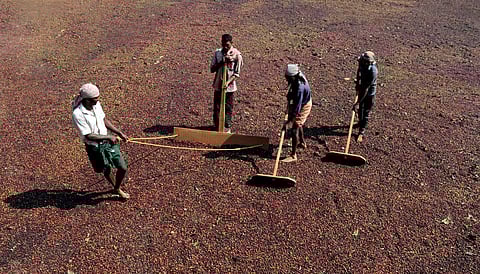 Image used for representative purposes only. (File Photo | EPS)