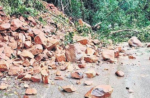 The rains and landslides have caused widespread damage to crops, fertile land and official and private buildings (Photo | PTI)