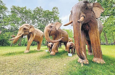 Image used for representational purposes only