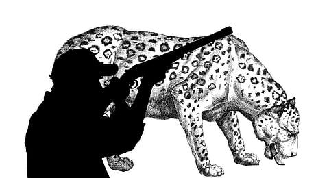 Image used for illustrative purposes only. (Photo | Pixabay)