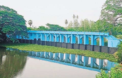 Cauvery river water released from Mettur dam. (Photo| Express)
