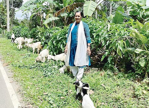 Alka Eskail at her farm in Bisonvalley. (Photo | Express)