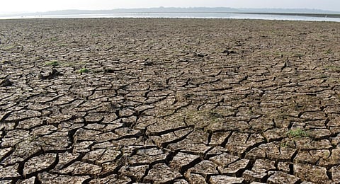 Image used for representational purposes only. (Photo | EPS)