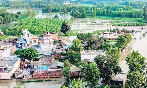 An aerial view of flooded area due to torrential rain, in Rupnagar, Punjab on Wednesday. (Photo | ANI)