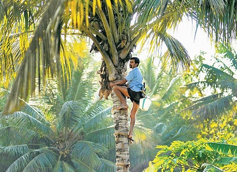 Image used for representational purpose. (Photo | Express)