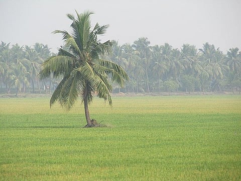 West Godavari villages. Image used for representational purpose. (Photo | Wikimedia Commons)