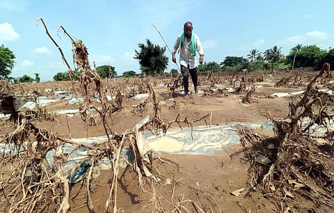 Image used for representational purposes only