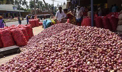 Image used for representational purposes only. (File Photo |  MK Ashok Kumar, EPS)