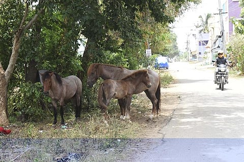 For representational purposes