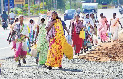 Workers employed under Mahatma Gandhi National Rural Employment Guarantee Scheme return home after work in Tirunelveli | V karthikalagu