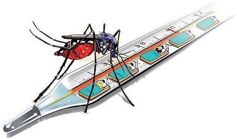 79 dengue cases reported in Madurai