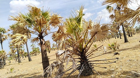 For representational purposes