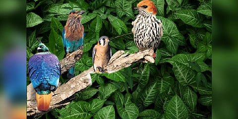 For representational purposes