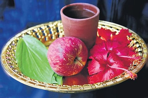 Picture credits: P Ravikumar