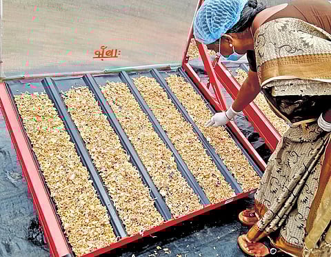 Beneficiaries dehydrating vegetables in Kurnool I express