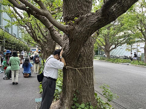 Takayuki Nakamura prays against a 100-year-old