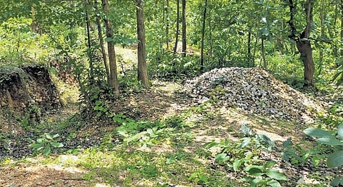 A heap of quartz stone mined illegally in a forest area near Paktia village | Express