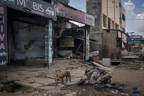 A stray dog stands next to a burnt scooter and partially burnt shops in Sohna near Nuh in Haryana state, India on Tuesday, Aug., 1, 2023. (Photo | AP)