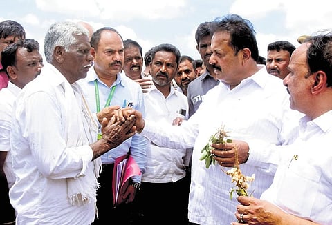 Agriculture Minister Cheluvarayaswamy interacts with a farmer in Chitradurga on Tuesday. The minister visited fields with dried crops  | Express