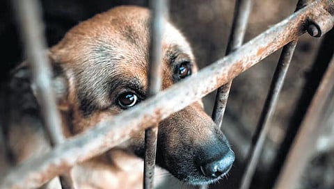 This fine is not fine