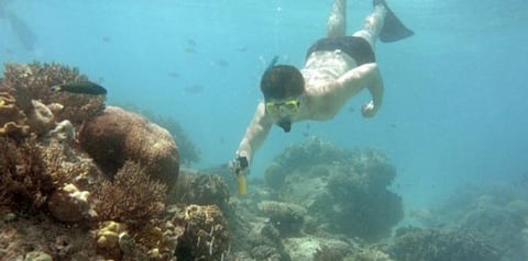 After years of climate-worsened damage to its vibrant corals, Australia's vast Great Barrier Reef could be added to UNESCO's list of endangered World Heritage sites. July, 2021.  (File photo | AFP)