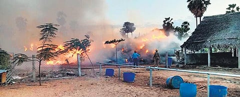 Unidentified persons set fire to the dairy farm (Photo | Express)