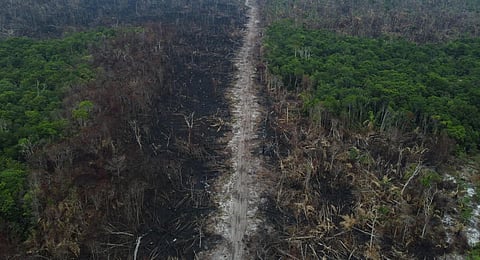 FILE - An aerial view of a deforested and burnt area on the Amazon forest in Manicoré, Amazonas state, Brazil on September 22, 2022. (Photo | AFP)