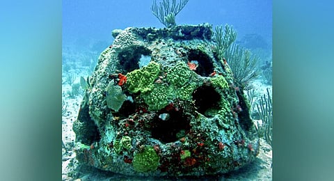 Image used for representational purpose.