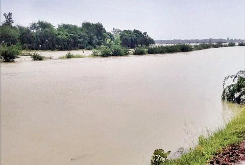 Agriculture fields inundated by saline water in Balasore’s Bahanaga block | Express