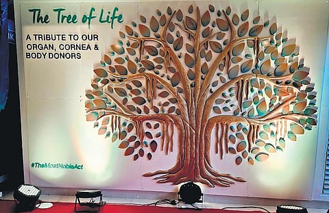 ‘Tree of Life’, the memorial dedicated to organ donors at Manipal Hospital | Express