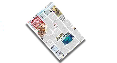 Check out this week's Xplore on environment