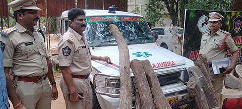 Red Sanders Anti-Smuggling Task Force with the seized sanders. (Photo | Express)
